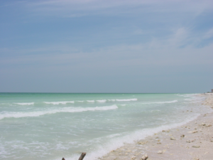Honeymoon Island Beach