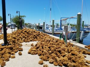 Tarpon Springs Sponge Docks