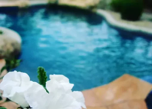 Fiberglass VIP Pool Service (weekly - Screen Enclosure) - Image 3